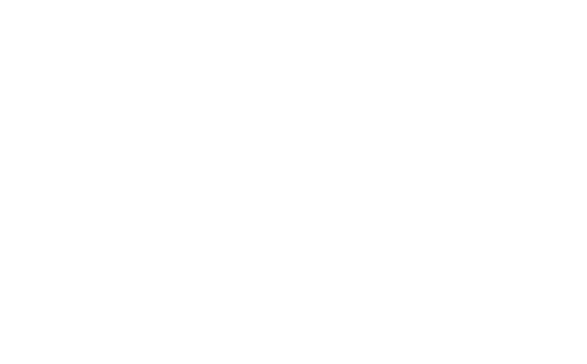 Die Pflegestrategen